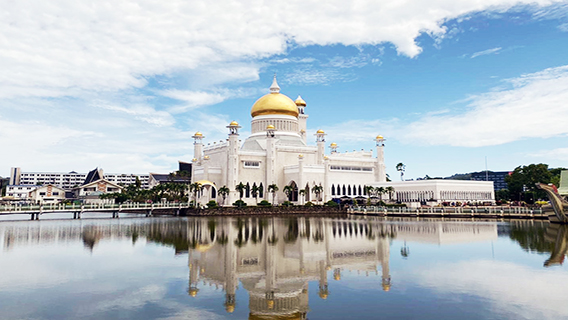 Singapore Brunei Reciprocal Green Lane